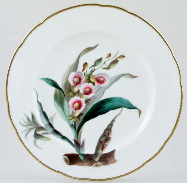 Plate c1874